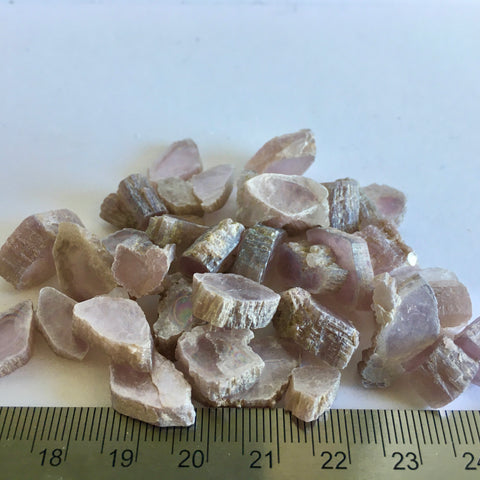 Lepidolite Segments - 3.99 reduced to 1.99