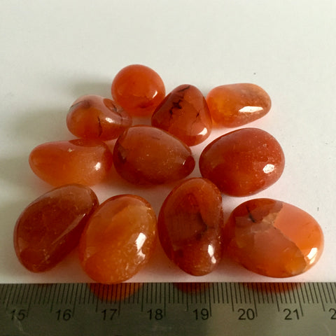 Carnelian Tumbled - 3.99