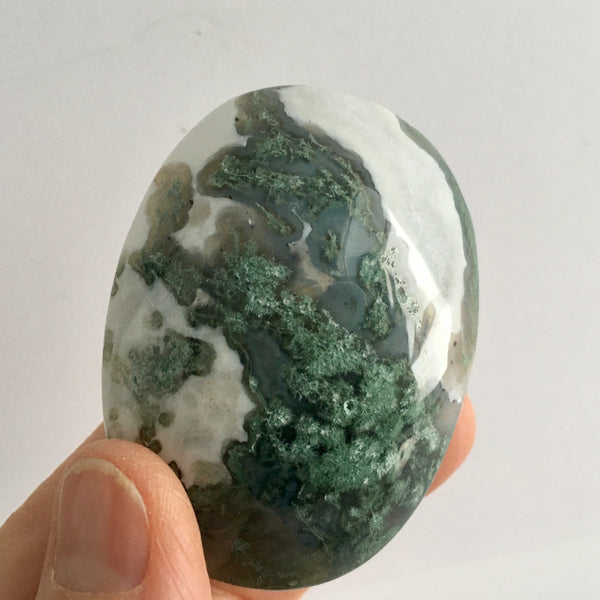 Moss Agate Palm Stone - 23.99