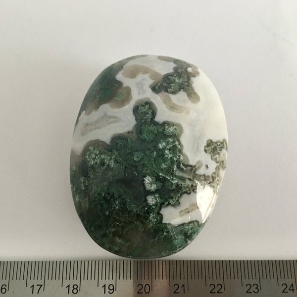 Moss Agate Palm Stone - 23.99