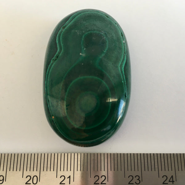 Malachite Palm - 42.99