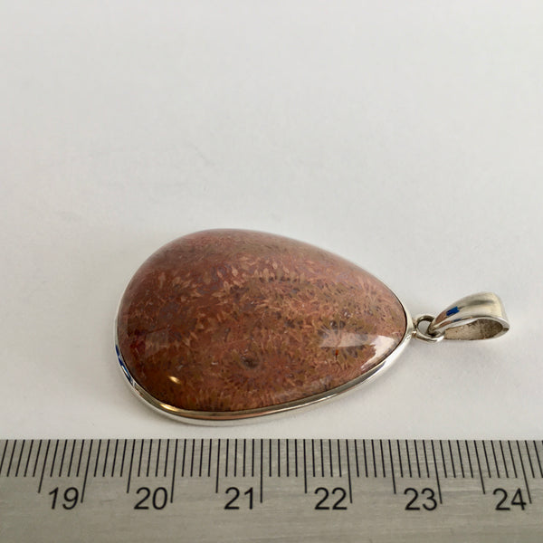 Sea Urchin Fossil Pendant - 46.96 reduced to 39.96