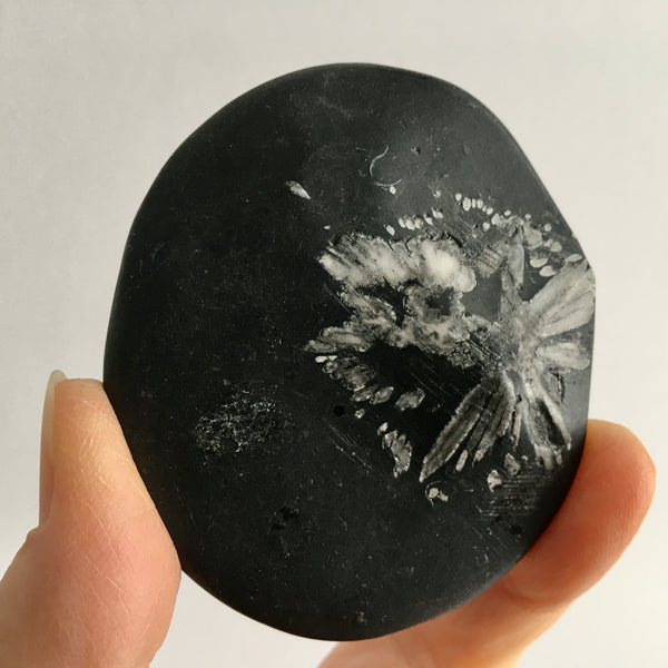 Chrysanthemum Stone - 29.97