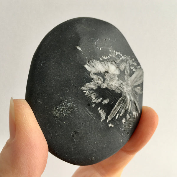 Chrysanthemum Stone - 29.97