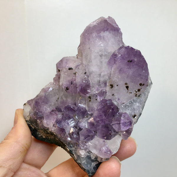 Amethyst Cluster - 34.99 - now 19.99!