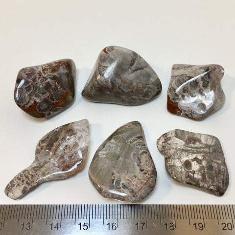 Mushroom Jasper Tumbled - 2.99