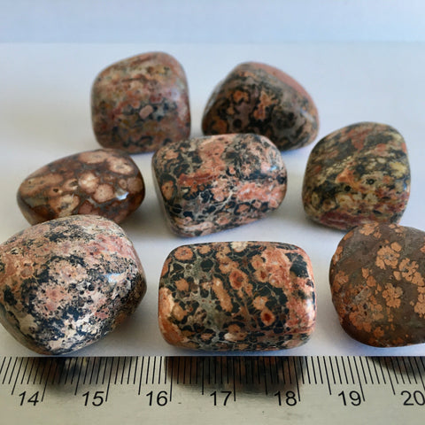 Jaguar Stone or Leopard Skin Jasper - 3.99