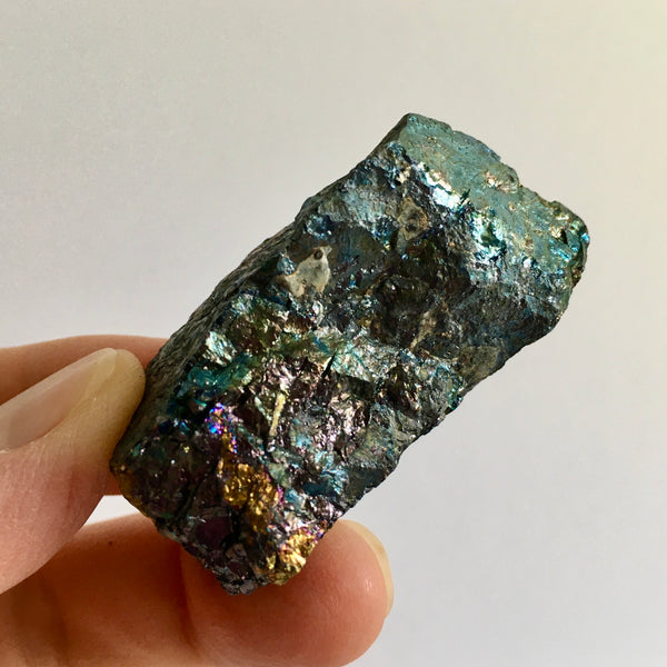 Bornite with Chalcopyrite - 19.99