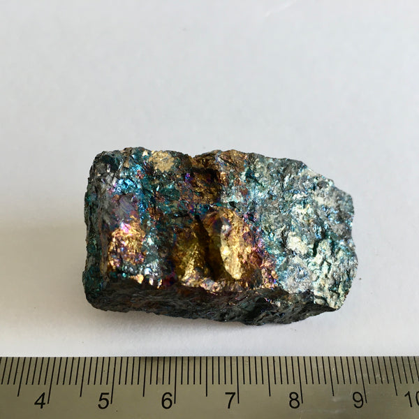 Bornite with Chalcopyrite - 19.99